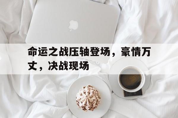命运之战压轴登场，豪情万丈，决战现场的简单介绍