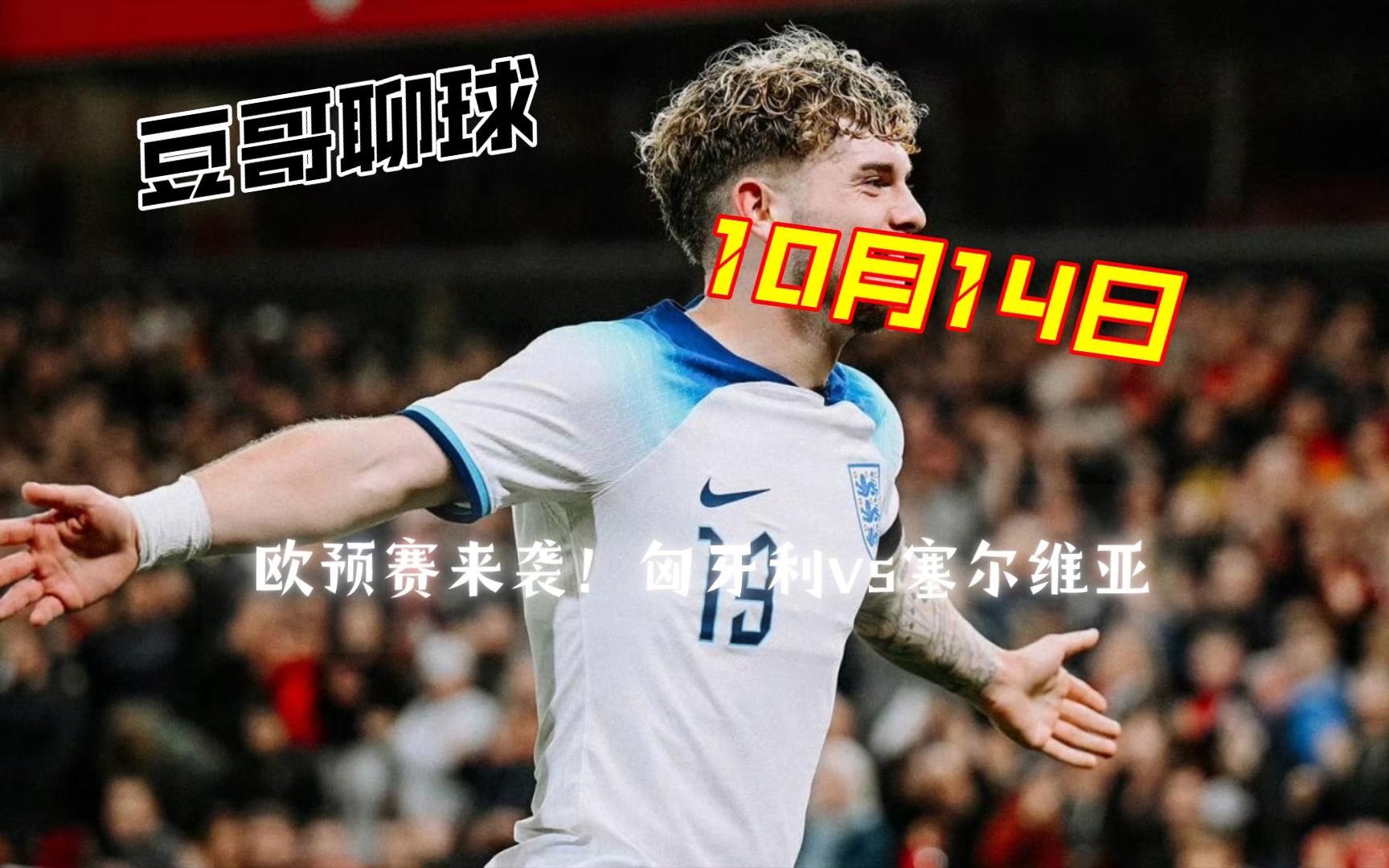 关于塞尔维亚取胜晋级，欧预赛比赛裁判判罚争议分析的信息